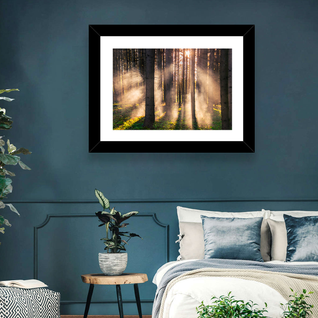 Sunrise Through Misty Forest Wall Art