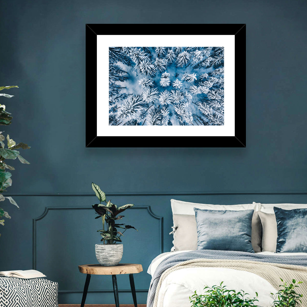 Aerial Snowy Evergreen Canopy Wall Art in a room, landscape
