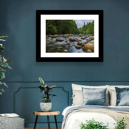 Lynn Canyon Park Forest Wall Art