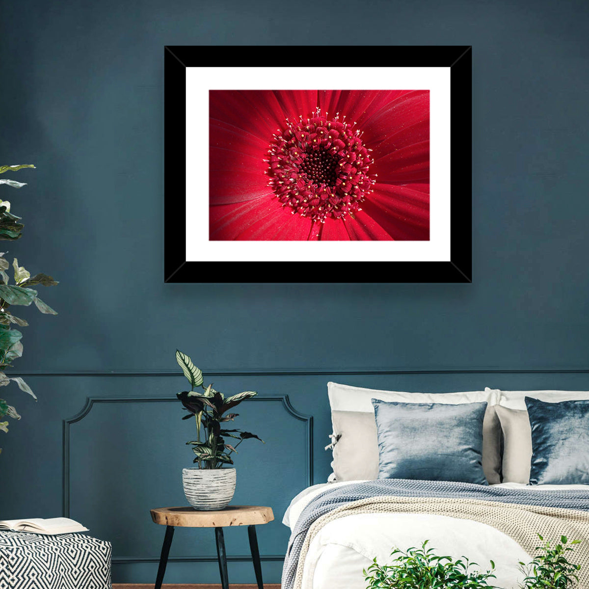 Red Gerbera Daisy Macro Close Up Wall Art