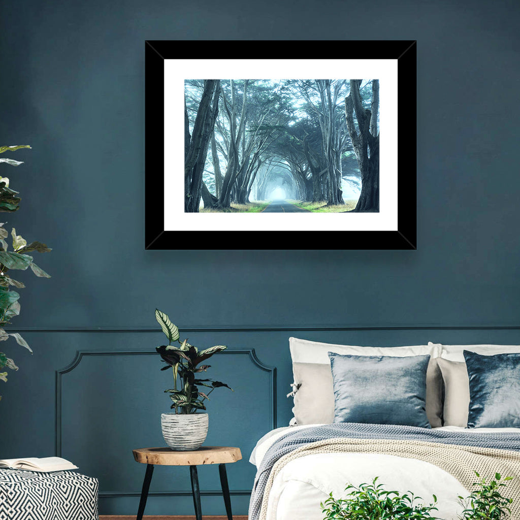 Foggy Cypress Tree Tunnel Wall Art