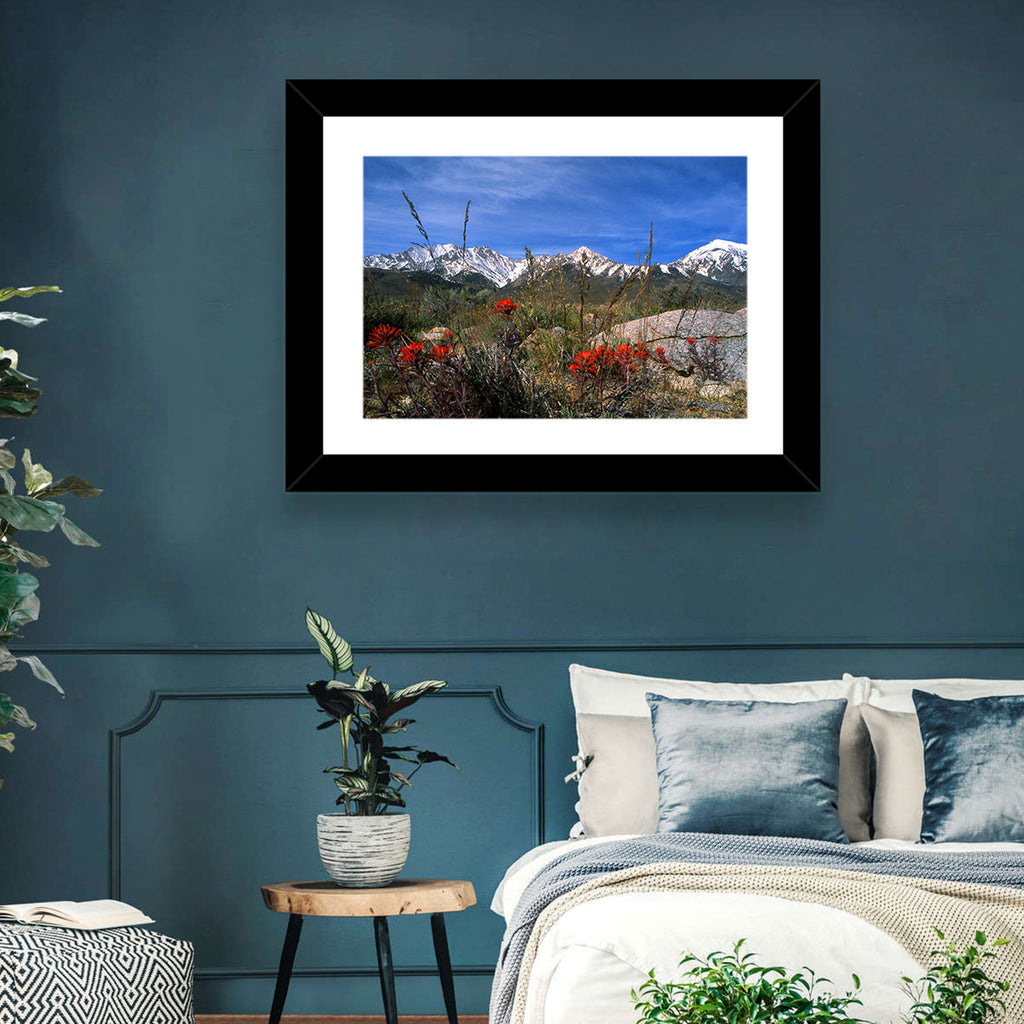 Sierra Nevada Wildflower Vista Wall Art