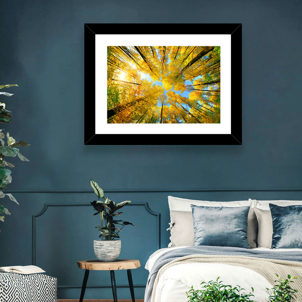 Golden Autumn Canopy Wall Art