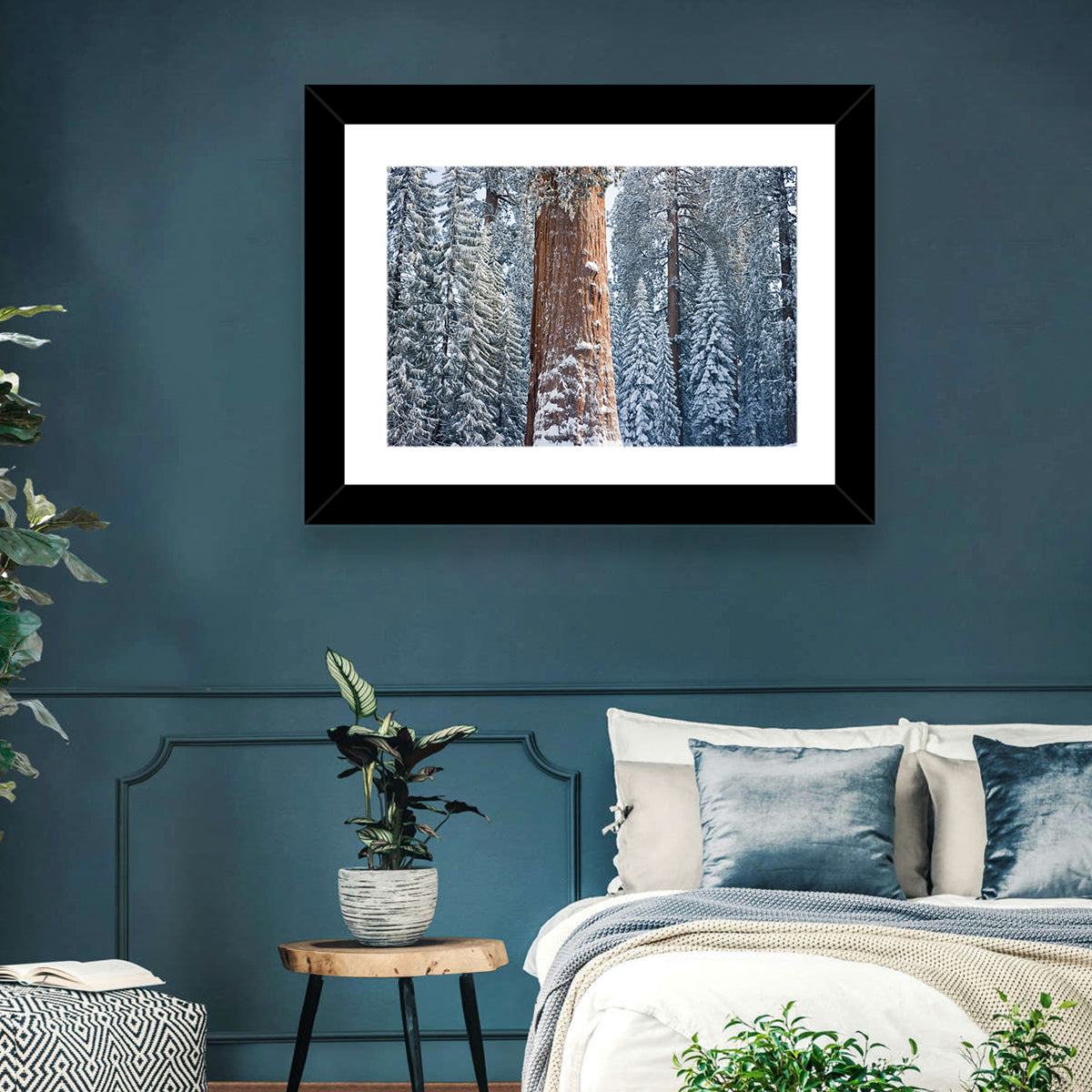 Winter Giant Sequoia in Snowy Forest Wall Art