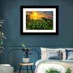 Mangrove Roots at Sunset Wall Art