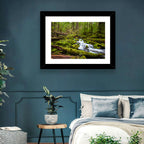 Mossy Cascade Forest Stream Wall Art
