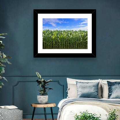 Green Corn Field Wall Art