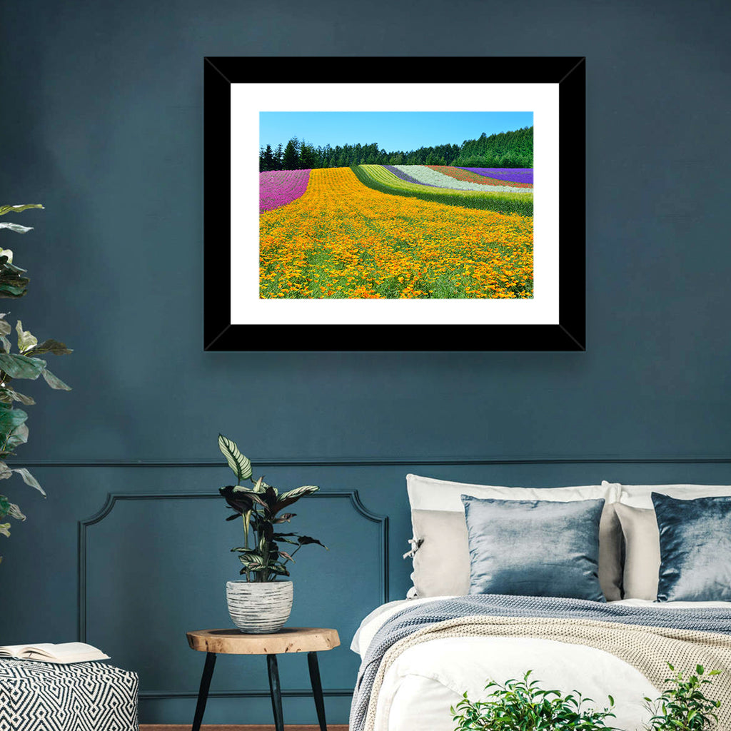Tomita Flower Fields, Nakafurano Wall Art