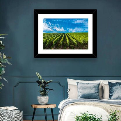 Luxembourg Vineyards Wall Art
