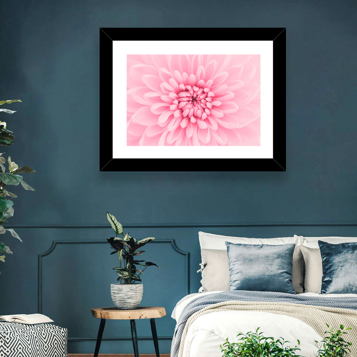 Pink Chrysanthemum Close-up Wall Art in a room, landscape