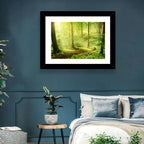 Sunlit Forest Path Wall Art