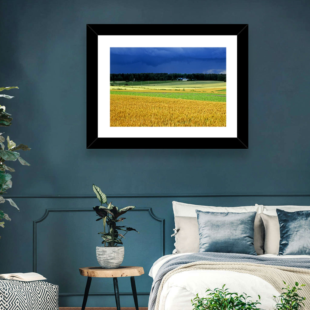 Cornfields Under Stormy Sky Wall Art