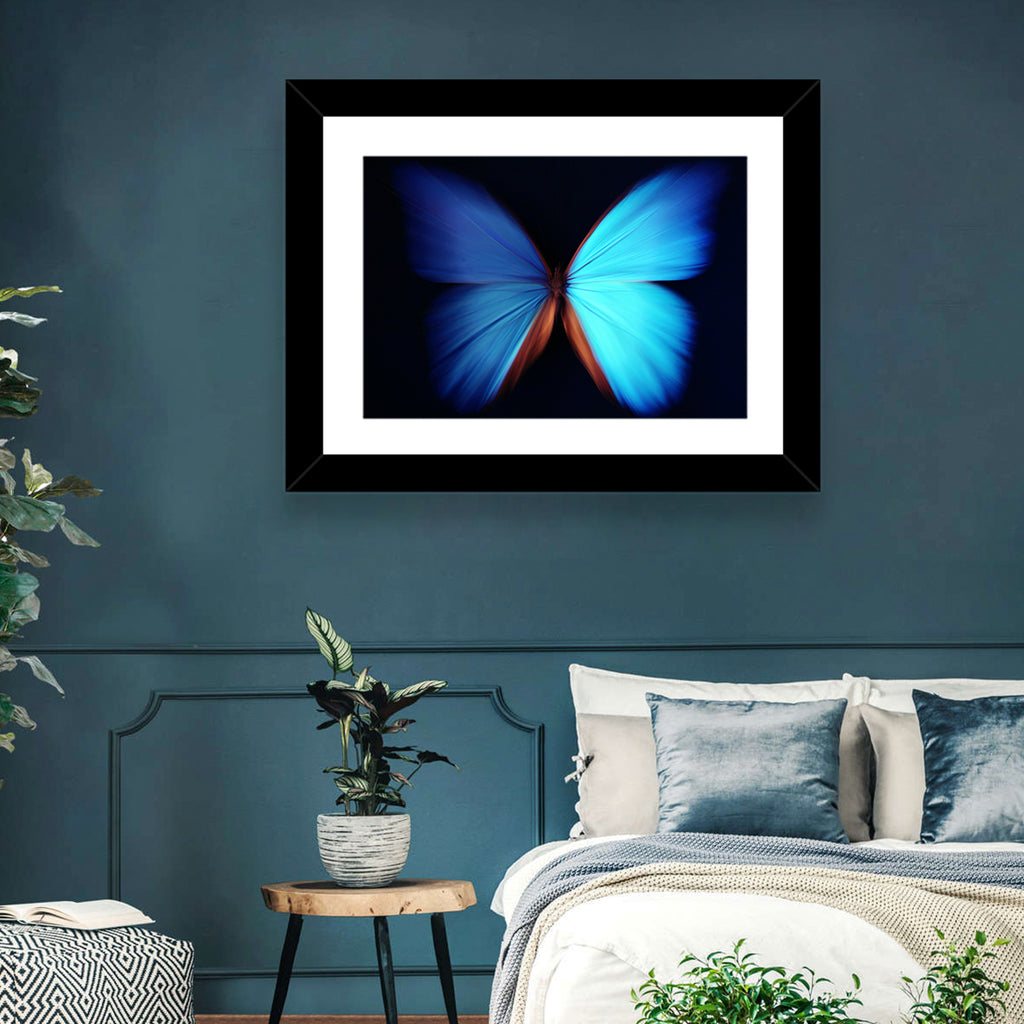 Blue Butterfly Macro Study Wall Art