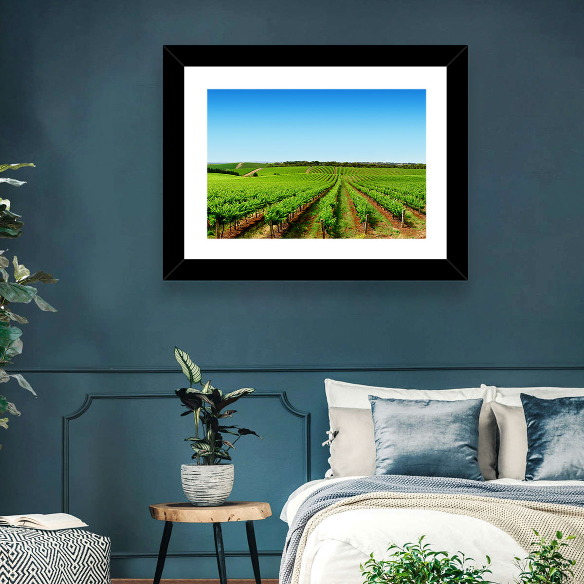 Sunlit Vineyard Rows Wall Art in a room, landscape