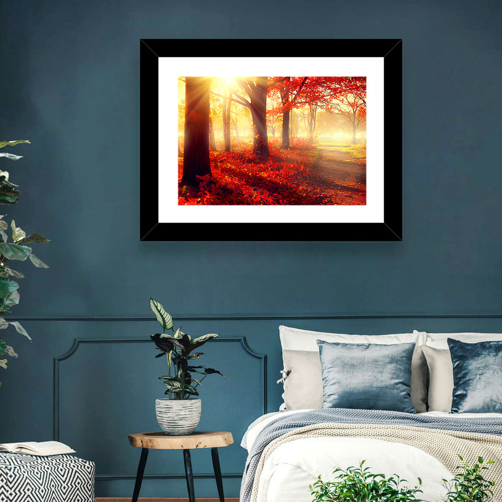 Sunlit Forest Path Wall Art