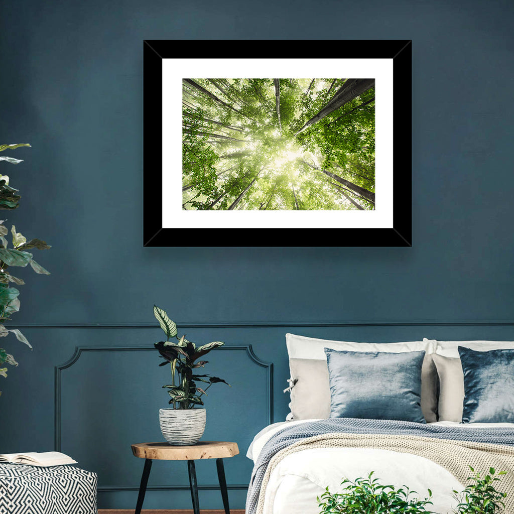 Spring Canopy in Morning Mist Wall Art