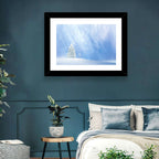 Two Snowy Evergreens Wall Art