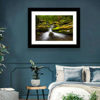 Mossy Forest Stream Wall Art