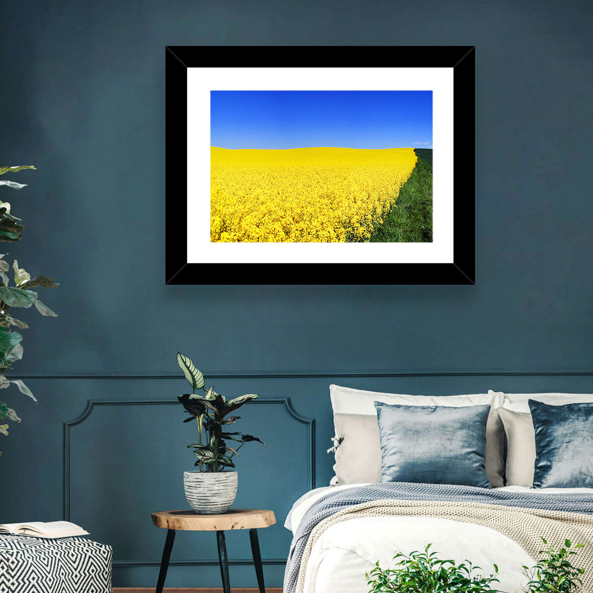 Sunlit Rapeseed Field Wall Art