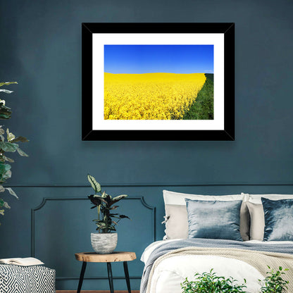 Rapeseed Field Wall Art