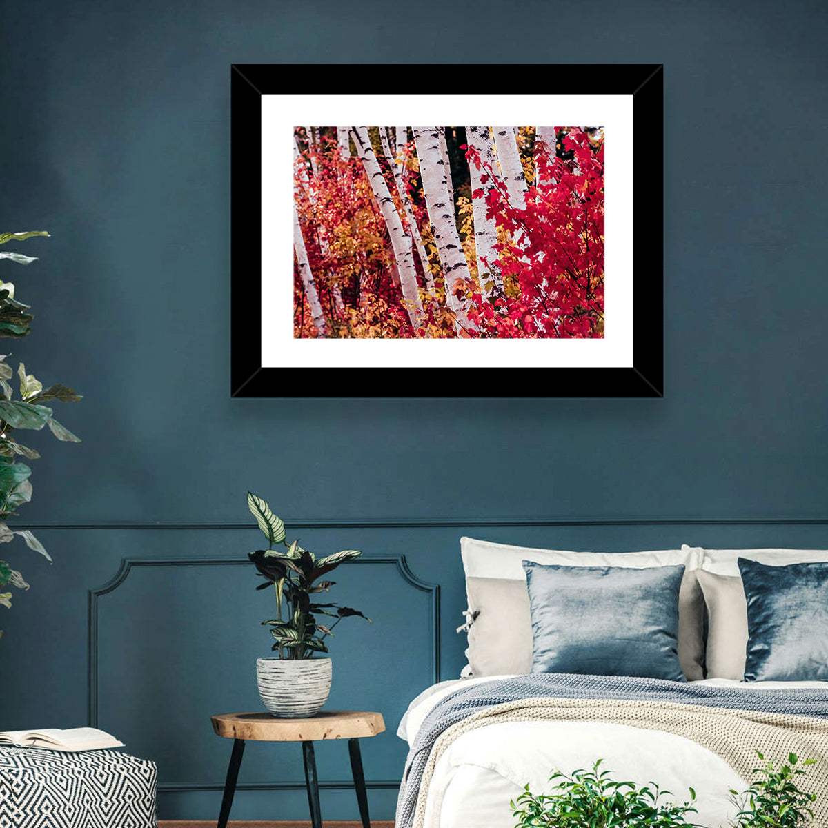 Autumn Birches with Crimson Maples Wall Art in a room, landscape