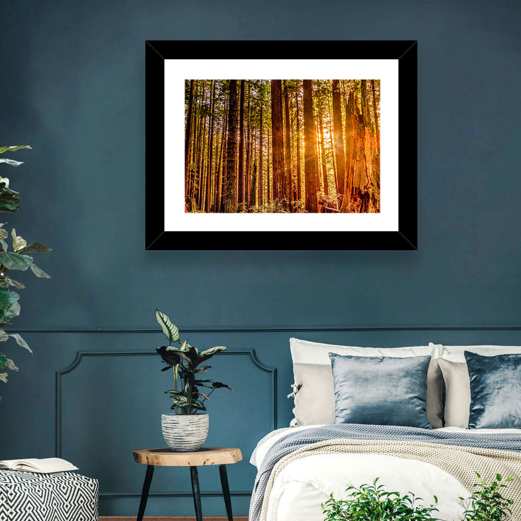 Golden Hour Redwood Sunburst Wall Art