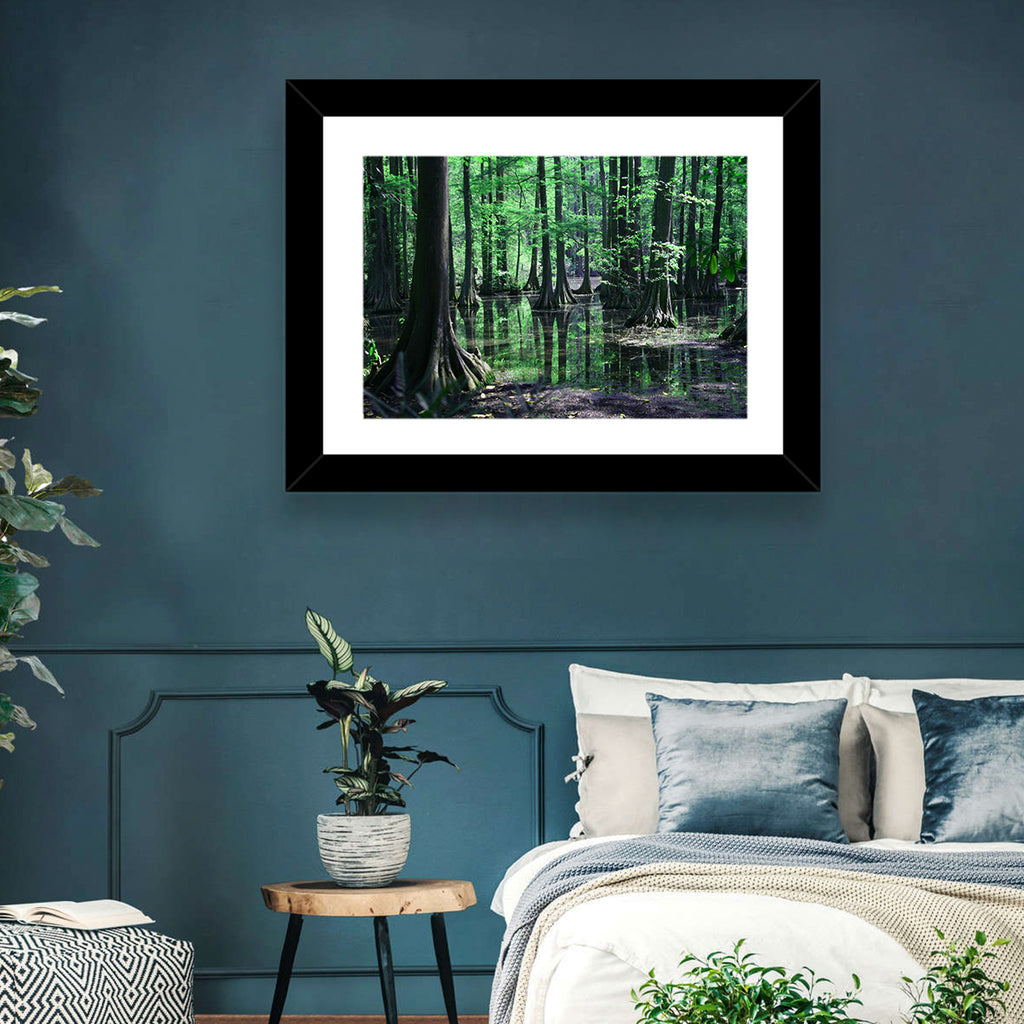 Congaree Swamp Reflection Wall Art