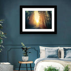 Misty Redwood Road with Golden Sunburst Wall Art