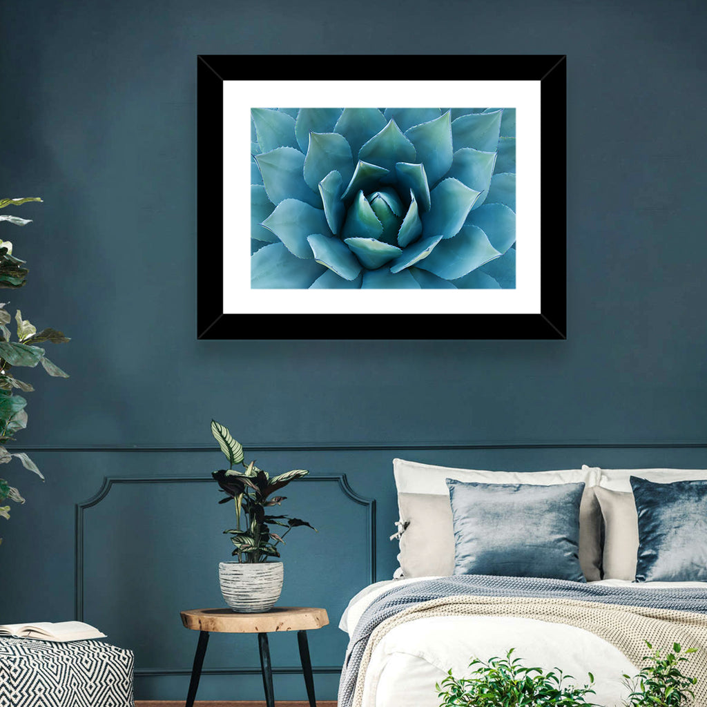 Spiral Agave Macro Wall Art