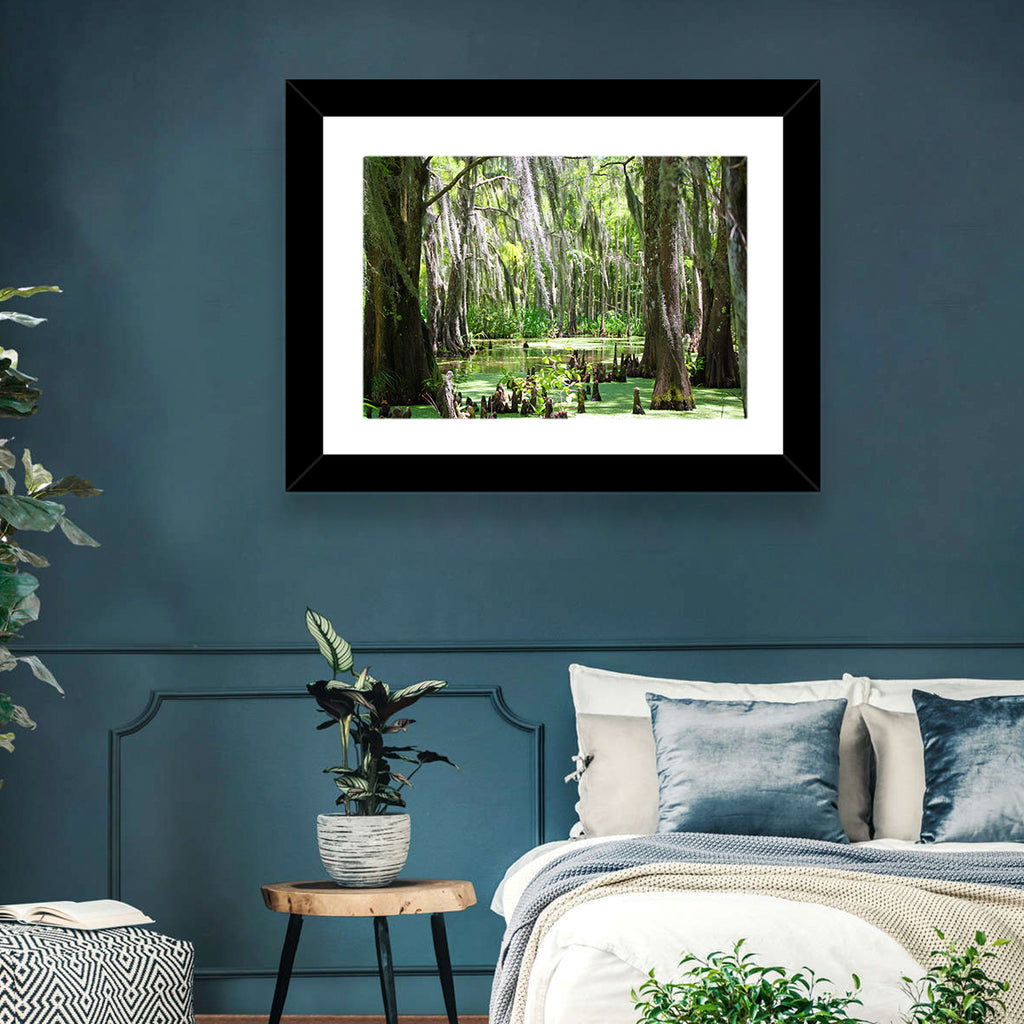 Louisiana Cypress Swamp Wall Art