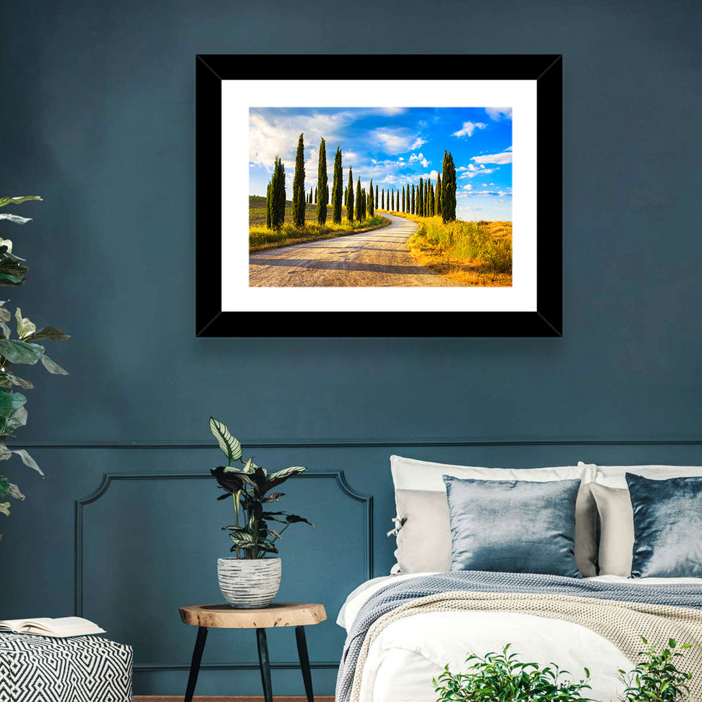 Sunlit Tuscany Cypress Road Wall Art