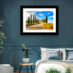 Sunlit Tuscany Cypress Road Wall Art