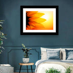 Backlit Sunflower Petals Wall Art