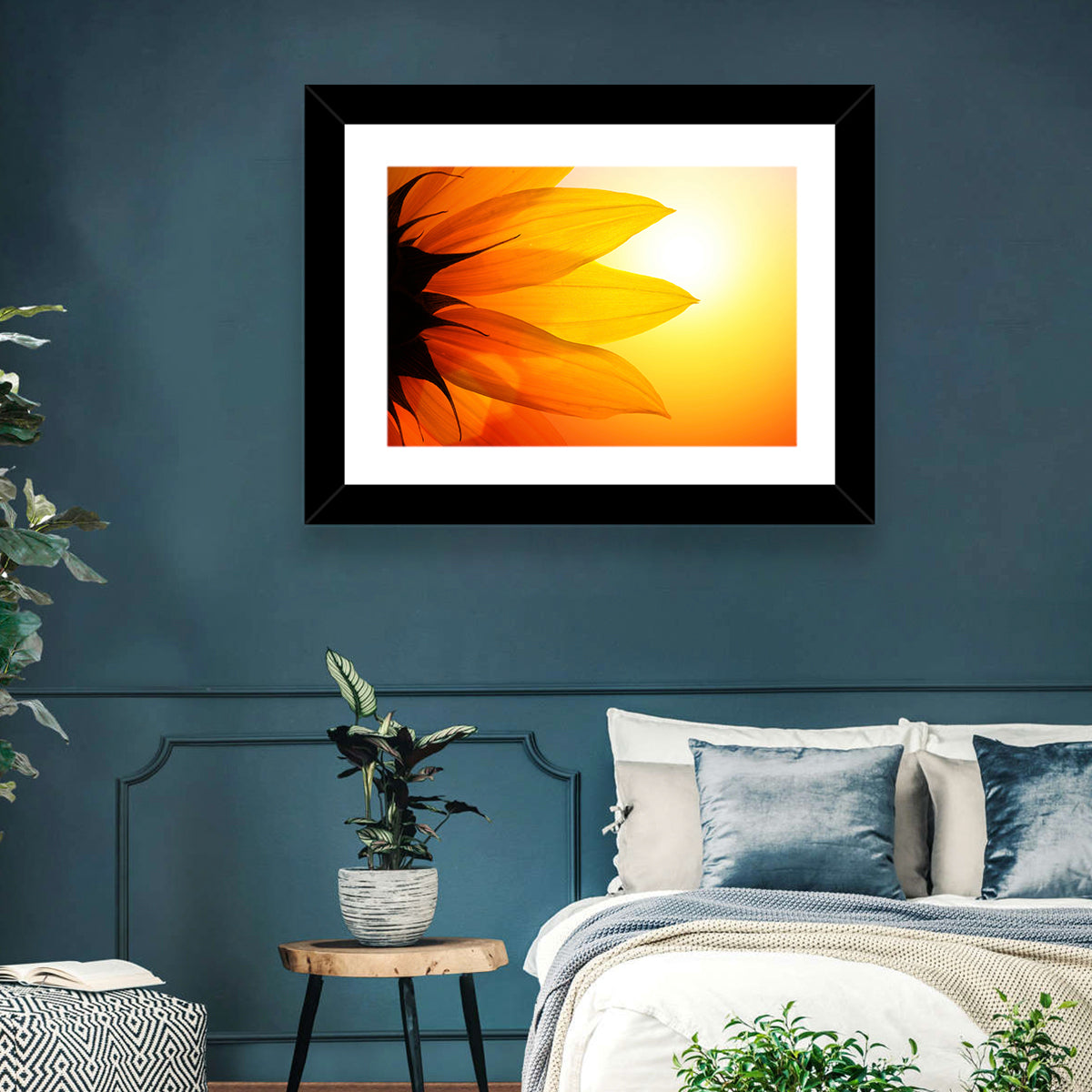 Backlit Sunflower Petals Wall Art