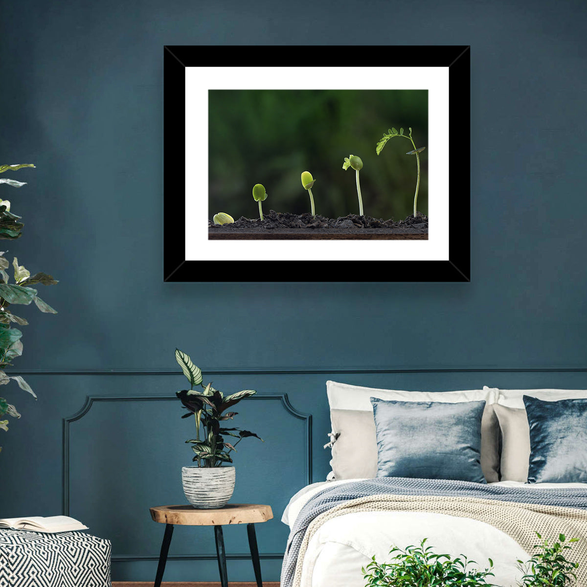 Five-stage Plant Growth Wall Art in a room, landscape