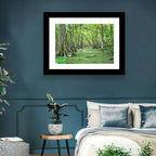 Summer Cypress Bayou, Louisiana Wall Art
