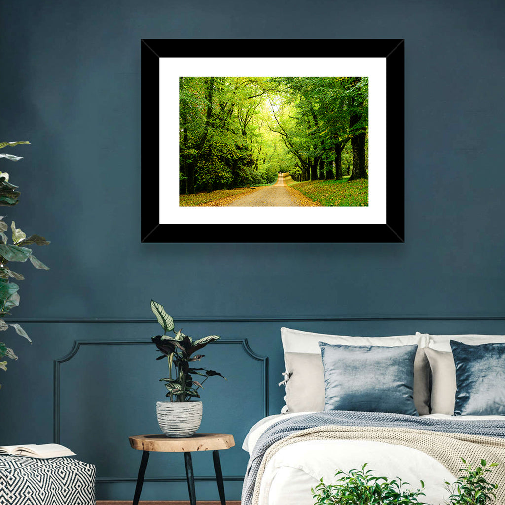 Sunlit Forest Pathway Wall Art