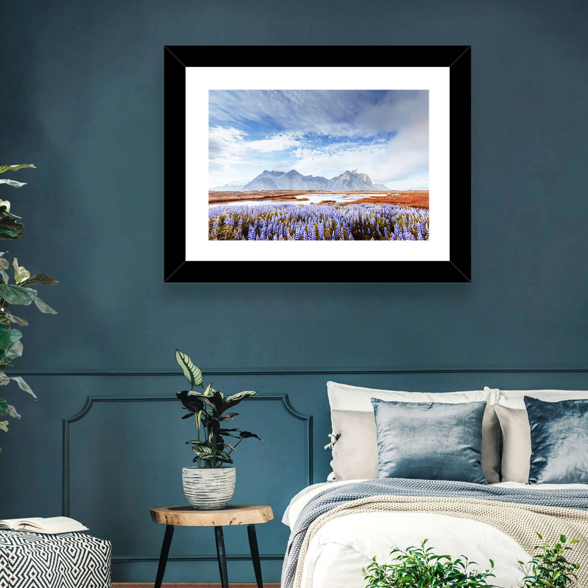 Lupine Fields at Vestrahorn Wall Art in a room, landscape