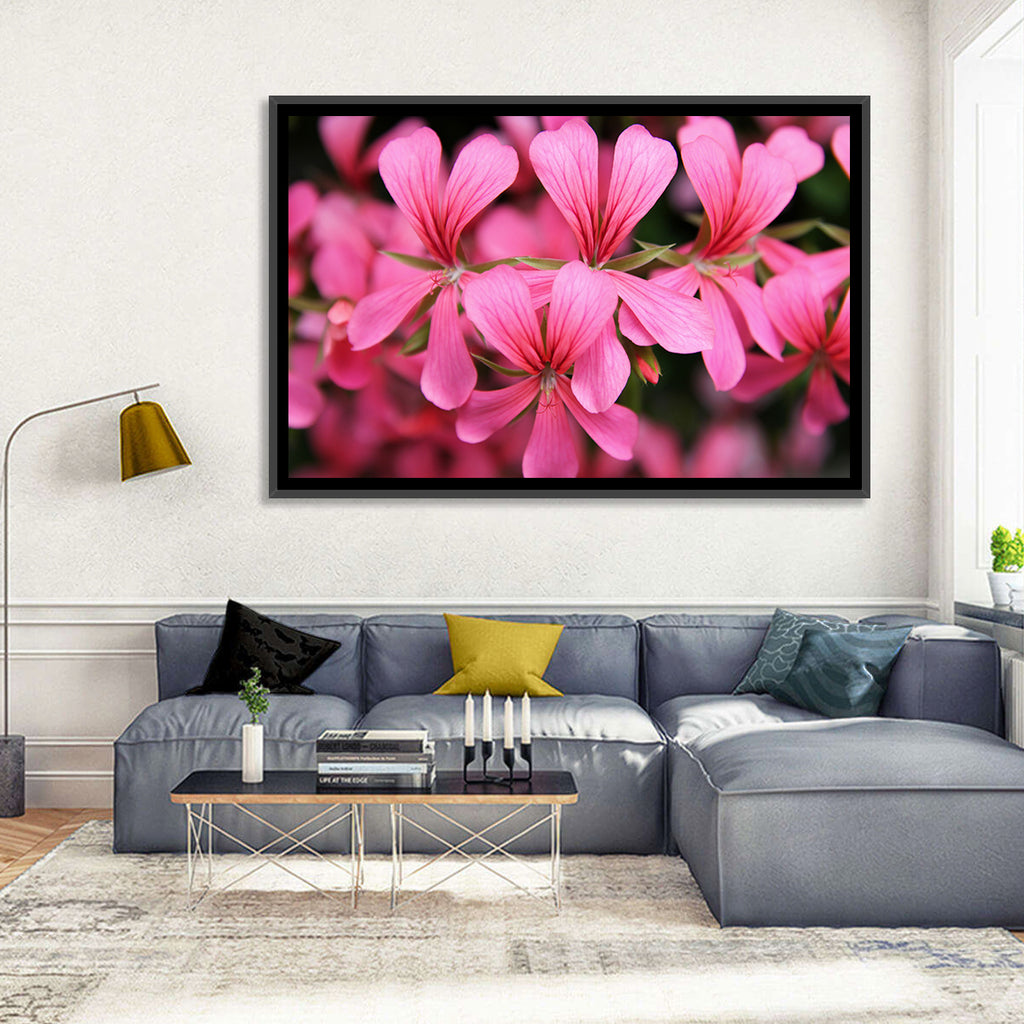 Pink Geranium Close Up Wall Art