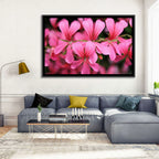 Pink Geranium Close Up Wall Art