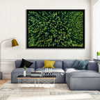 Aerial Conifer Canopy Wall Art