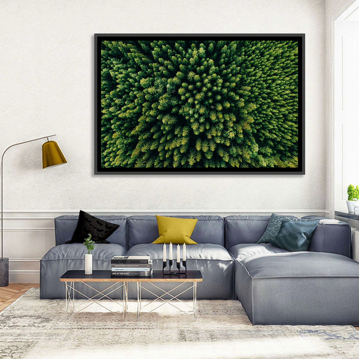 Aerial Conifer Canopy Wall Art