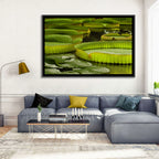 Giant Victoria Amazonica Lily Pads Wall Art