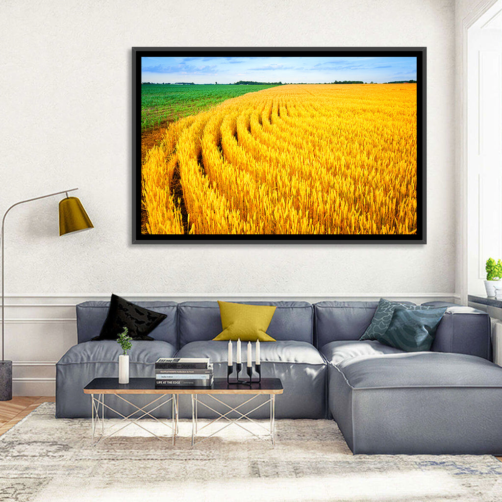 Summer Wheat Field with Curved Paths Wall Art