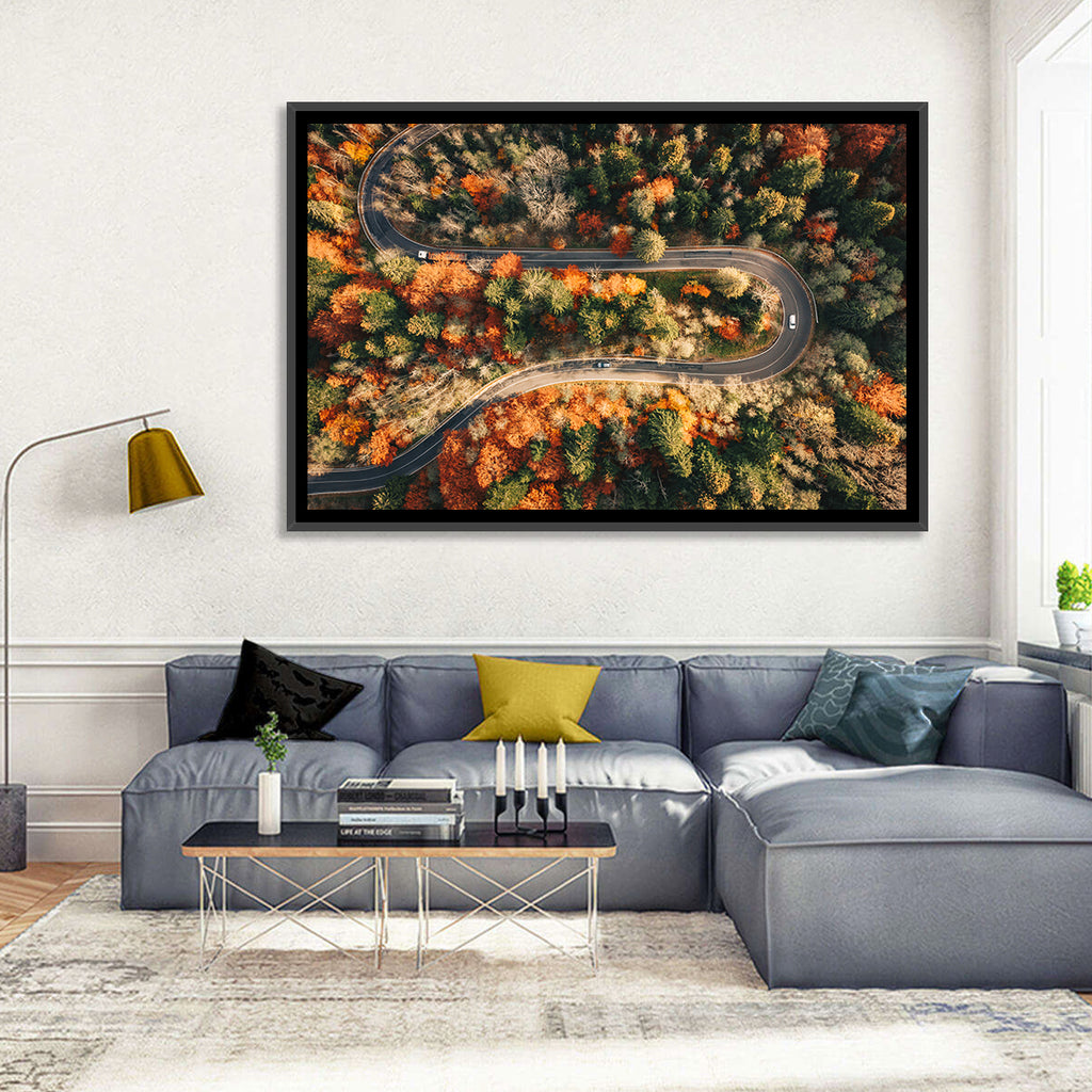 Aerial Winding Autumn Forest Road Wall Art
