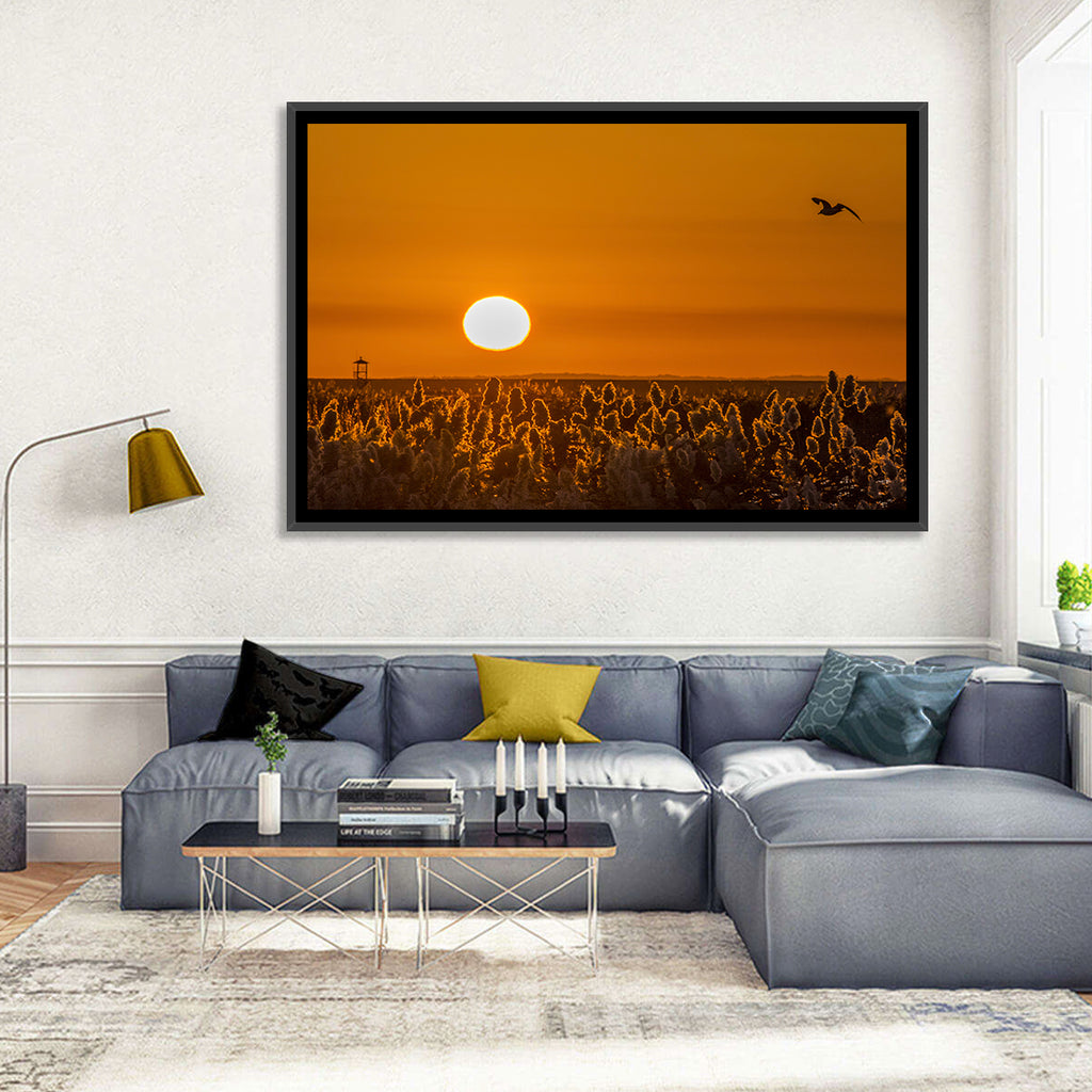 Golden Sunrise Over Reeds Wall Art