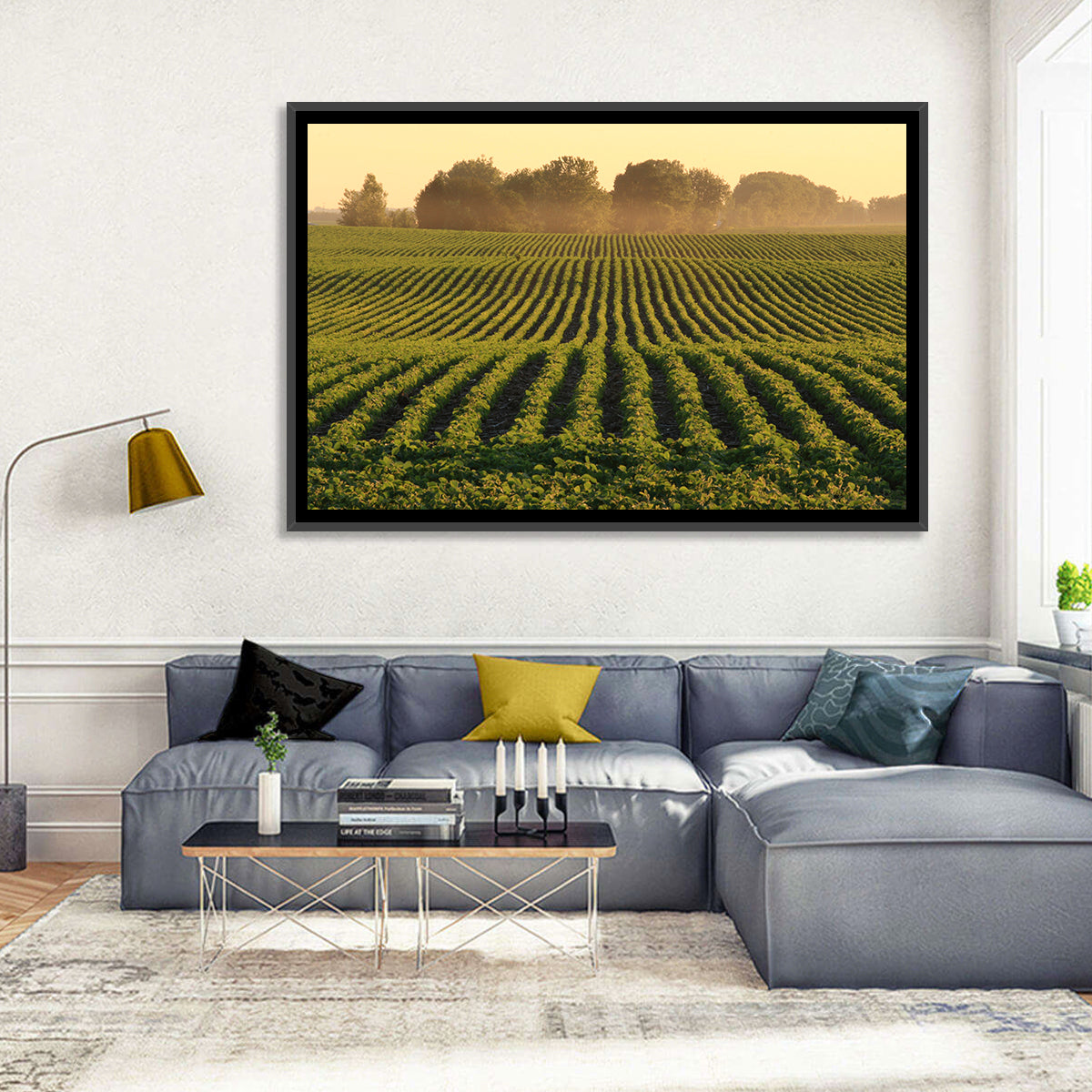 Misty Soybean Field at Dusk Wall Art in a room, landscape