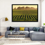 Misty Soybean Field at Dusk Wall Art