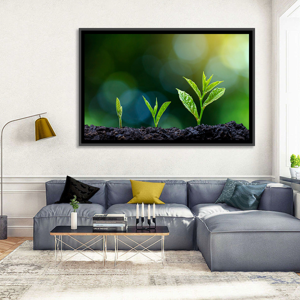 Plant Growing Phase Wall Art