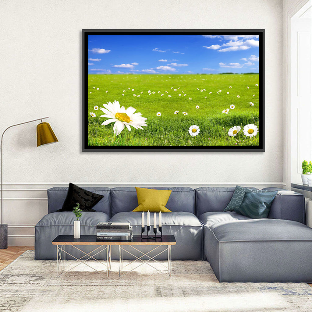 Spring Daisy Meadow Wall Art